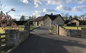 The Bungalow